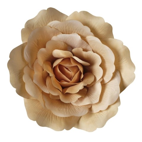 TESTA ROSA XL 45X45CM BEIGE